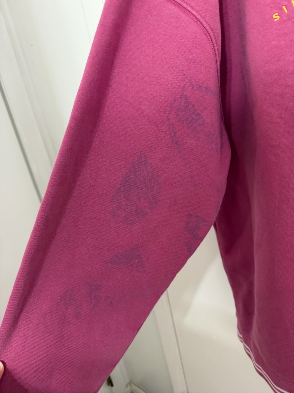 Disney parks Winnie the Pooh piglet embroidered pullover sweatshirt - Picture 2 of 5